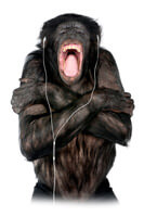 listen to your voice
